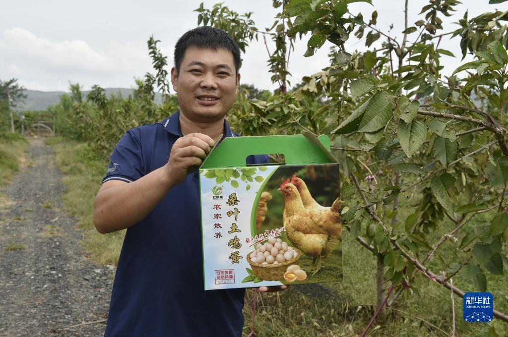 太阳城游戏登入